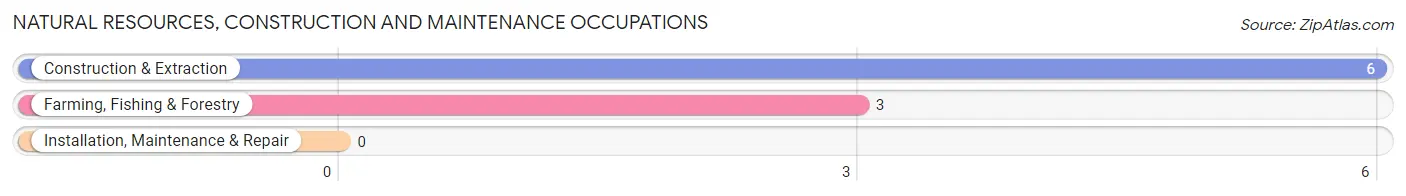 Natural Resources, Construction and Maintenance Occupations in Zip Code 58365