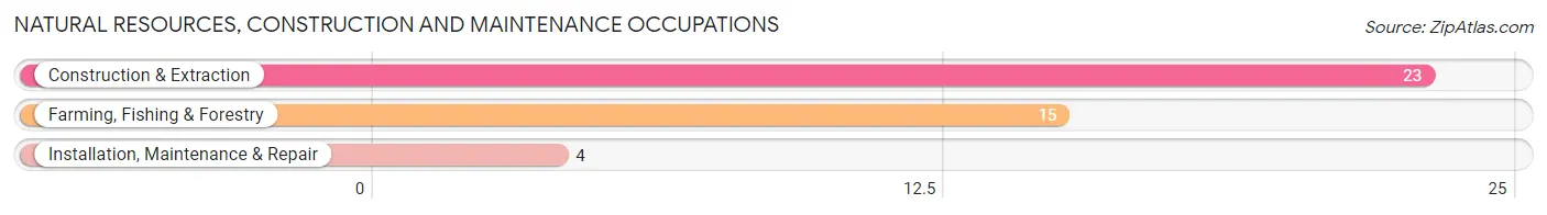 Natural Resources, Construction and Maintenance Occupations in Zip Code 58521