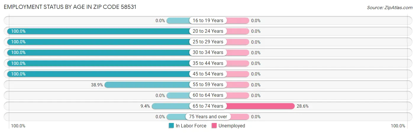 Employment Status by Age in Zip Code 58531