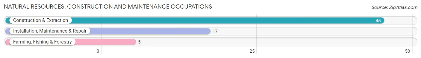 Natural Resources, Construction and Maintenance Occupations in Zip Code 58533