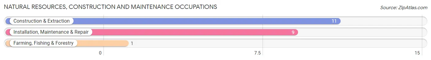 Natural Resources, Construction and Maintenance Occupations in Zip Code 58656