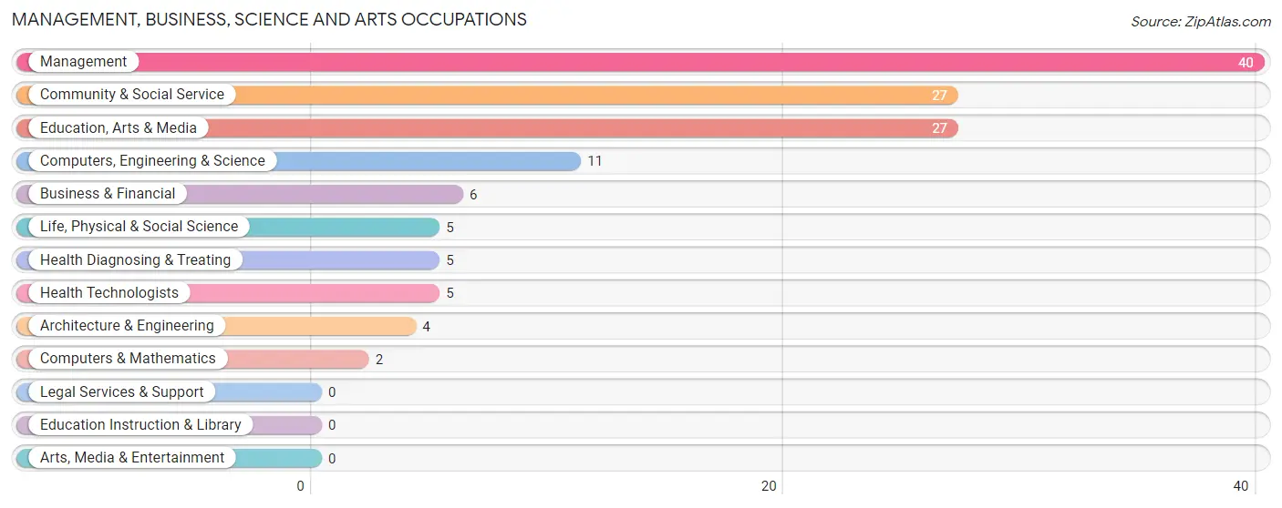 Management, Business, Science and Arts Occupations in Zip Code 58731