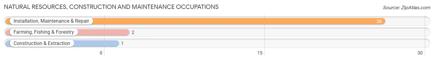 Natural Resources, Construction and Maintenance Occupations in Zip Code 58731