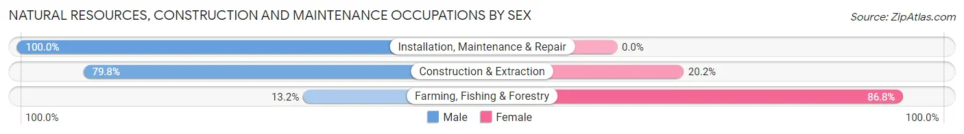 Natural Resources, Construction and Maintenance Occupations by Sex in Zip Code 58854