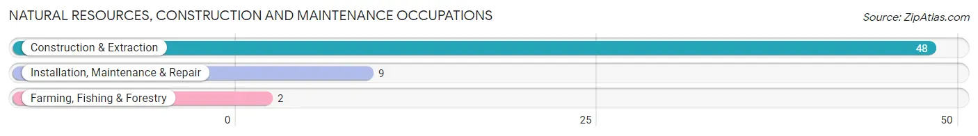 Natural Resources, Construction and Maintenance Occupations in Zip Code 59015