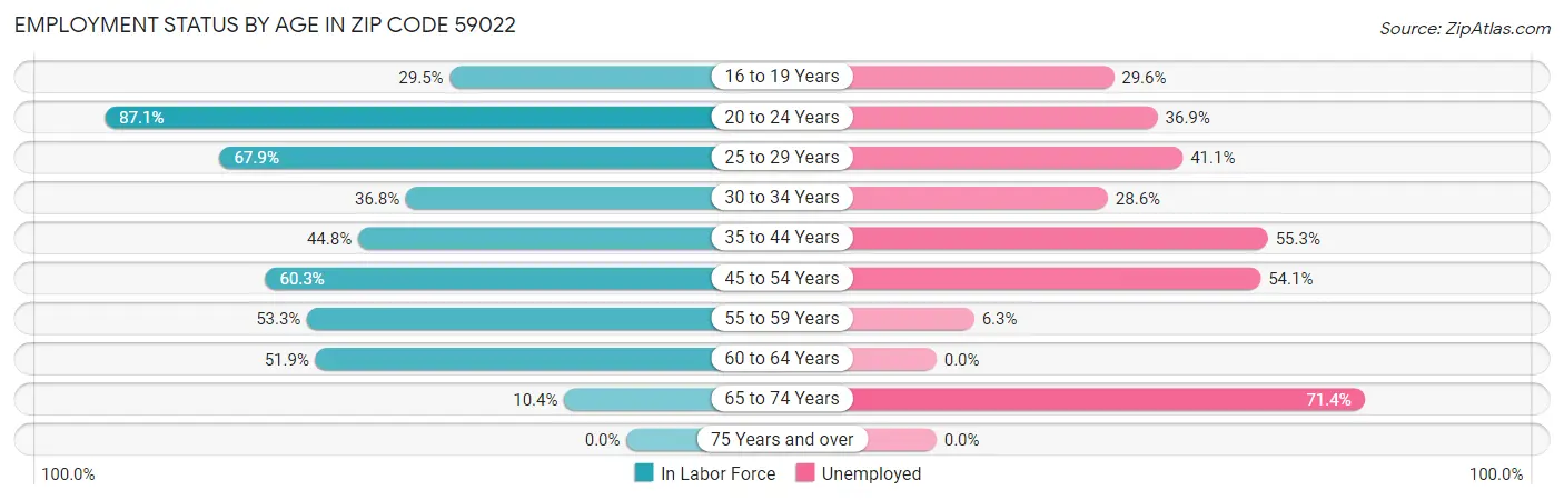Employment Status by Age in Zip Code 59022