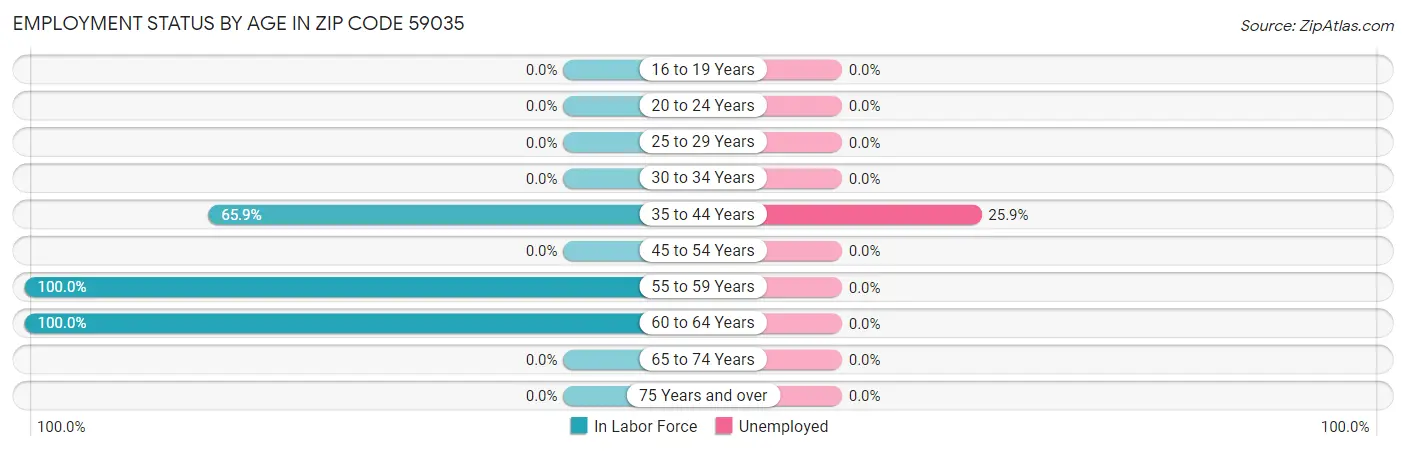 Employment Status by Age in Zip Code 59035