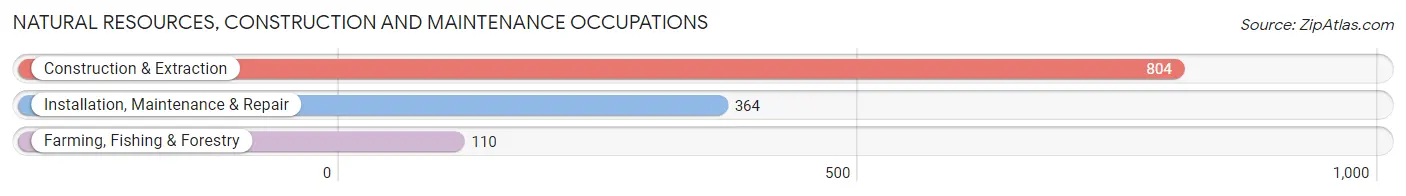 Natural Resources, Construction and Maintenance Occupations in Zip Code 59047