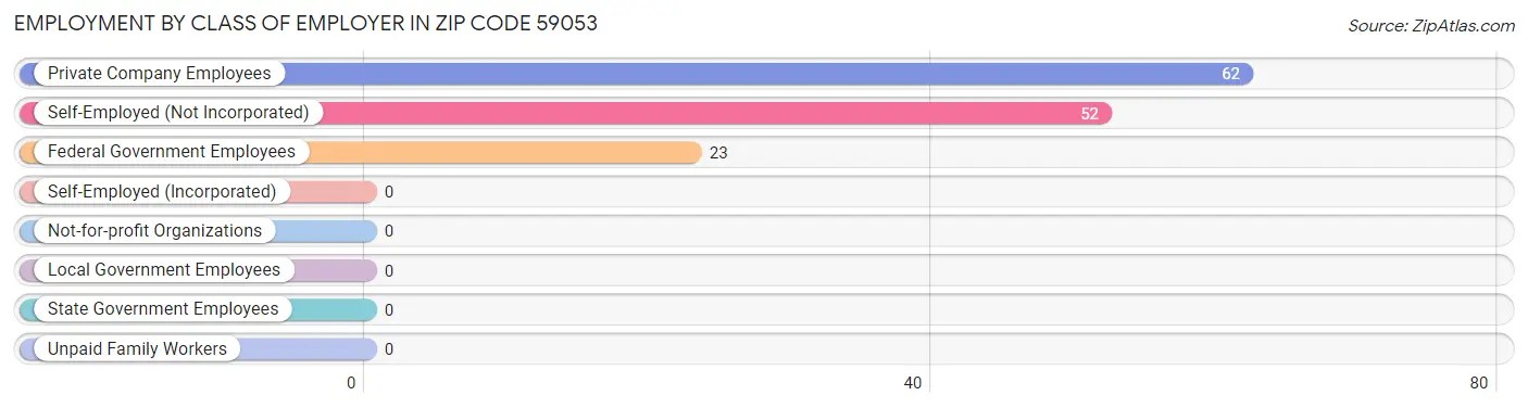 Employment by Class of Employer in Zip Code 59053