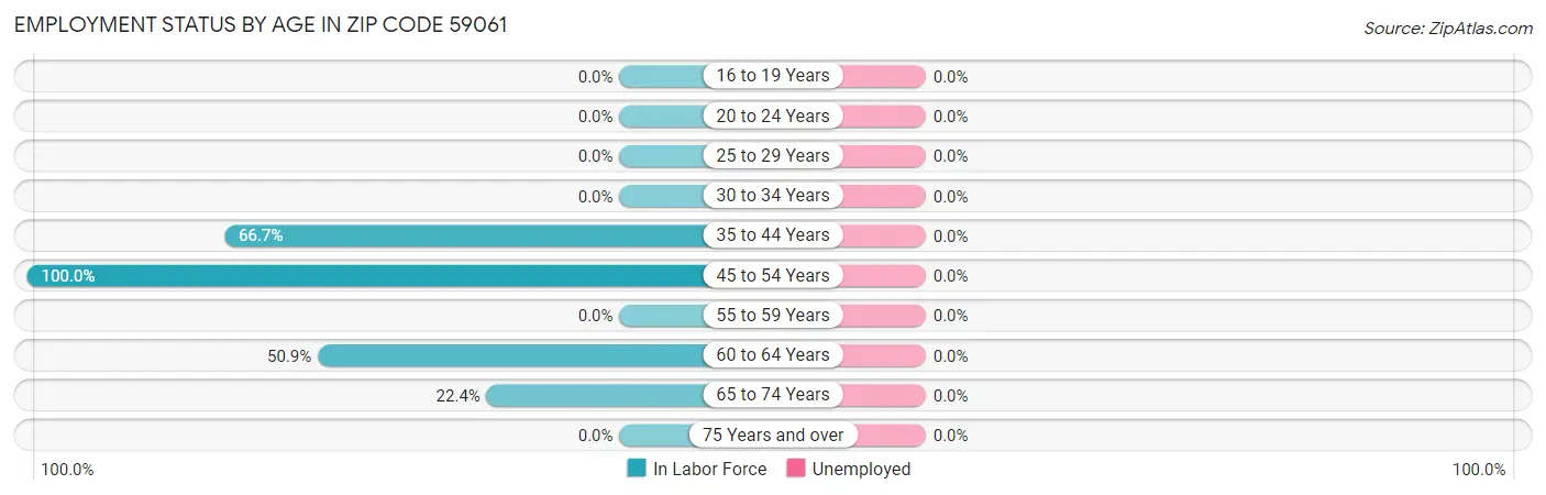 Employment Status by Age in Zip Code 59061