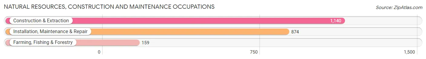 Natural Resources, Construction and Maintenance Occupations in Zip Code 59101