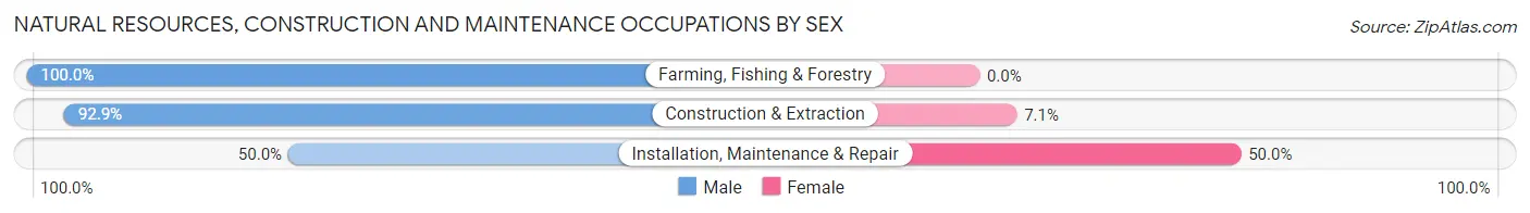 Natural Resources, Construction and Maintenance Occupations by Sex in Zip Code 59221