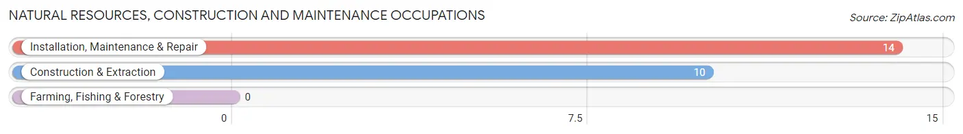 Natural Resources, Construction and Maintenance Occupations in Zip Code 59256