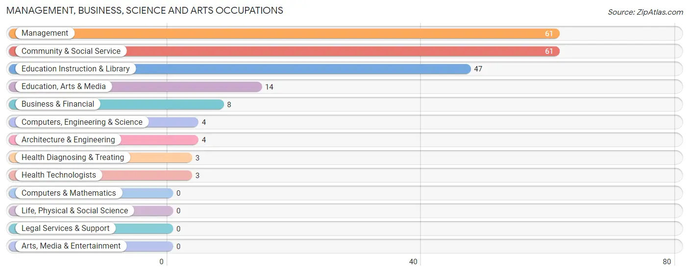 Management, Business, Science and Arts Occupations in Zip Code 59262