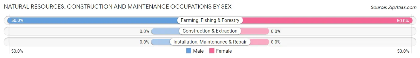 Natural Resources, Construction and Maintenance Occupations by Sex in Zip Code 59345