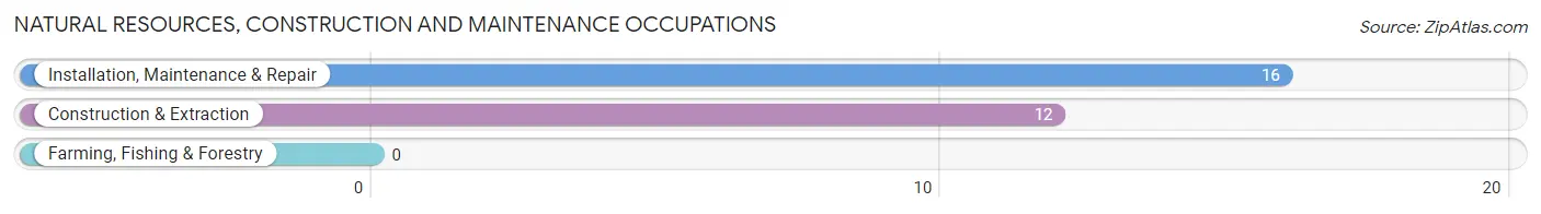 Natural Resources, Construction and Maintenance Occupations in Zip Code 59472