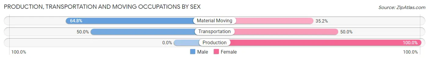 Production, Transportation and Moving Occupations by Sex in Zip Code 59487