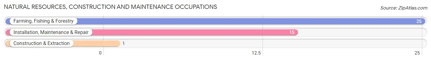 Natural Resources, Construction and Maintenance Occupations in Zip Code 59525