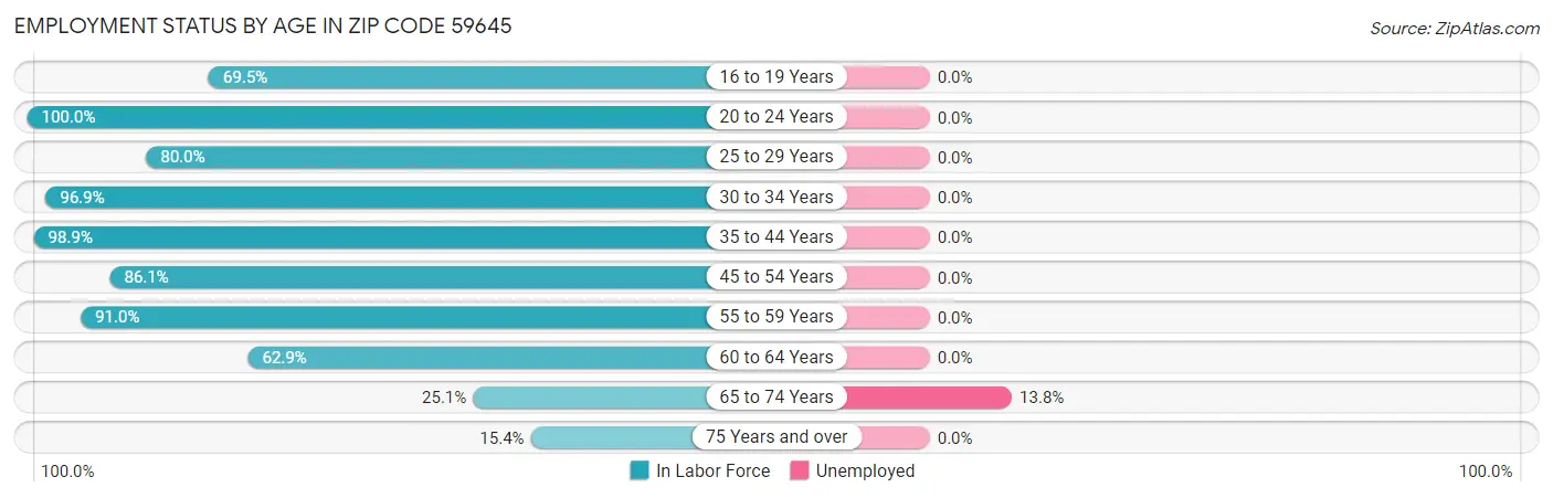 Employment Status by Age in Zip Code 59645