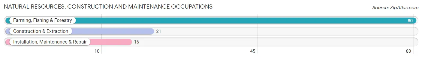 Natural Resources, Construction and Maintenance Occupations in Zip Code 59645