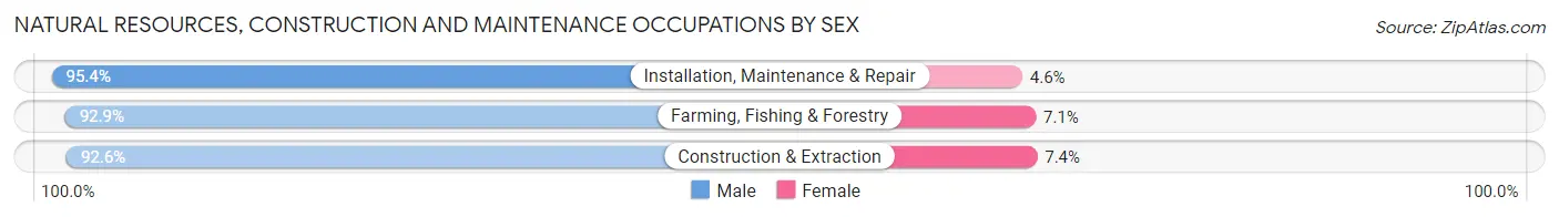 Natural Resources, Construction and Maintenance Occupations by Sex in Zip Code 59715