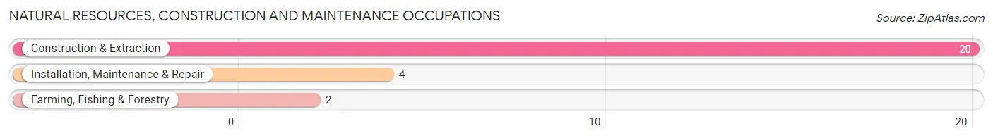 Natural Resources, Construction and Maintenance Occupations in Zip Code 59728