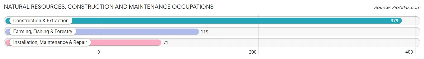 Natural Resources, Construction and Maintenance Occupations in Zip Code 59741