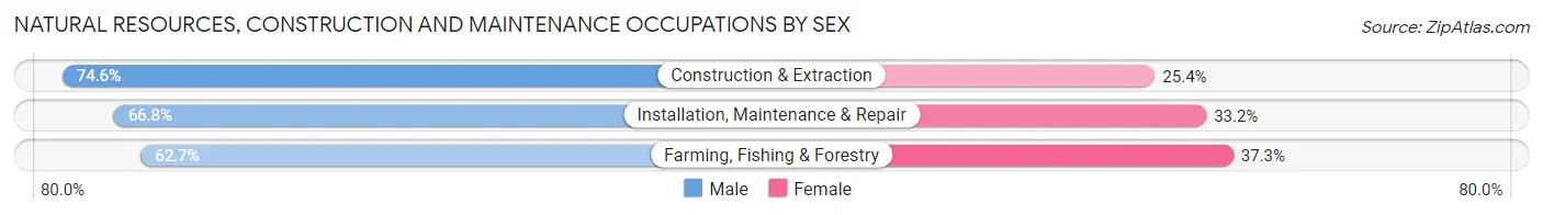 Natural Resources, Construction and Maintenance Occupations by Sex in Zip Code 59801
