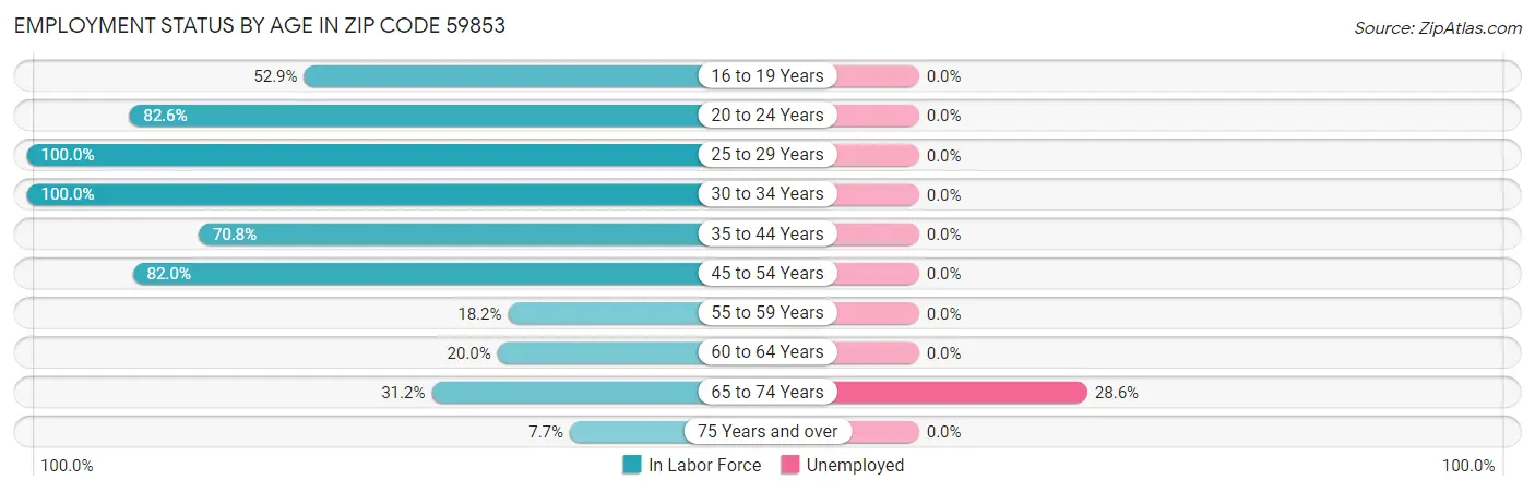 Employment Status by Age in Zip Code 59853