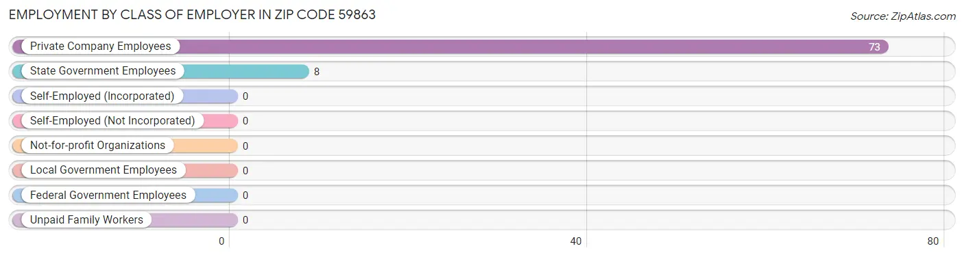 Employment by Class of Employer in Zip Code 59863