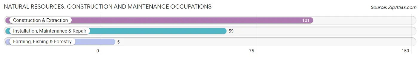 Natural Resources, Construction and Maintenance Occupations in Zip Code 59868