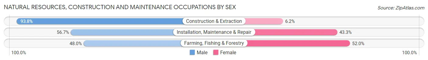 Natural Resources, Construction and Maintenance Occupations by Sex in Zip Code 59875