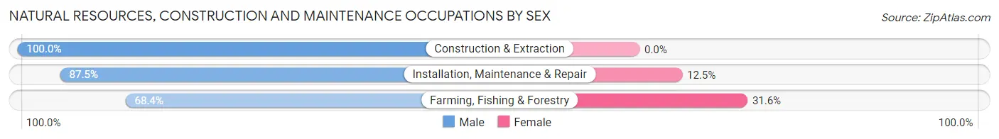 Natural Resources, Construction and Maintenance Occupations by Sex in Zip Code 59923