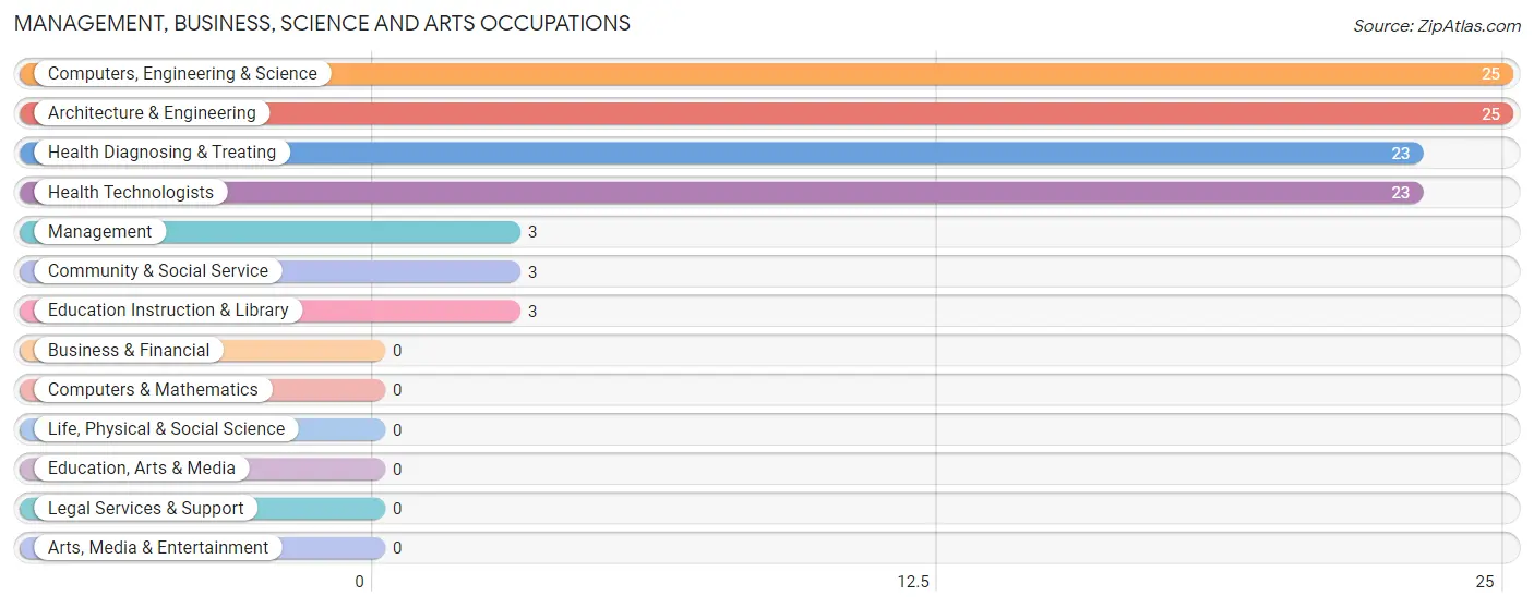 Management, Business, Science and Arts Occupations in Zip Code 59931