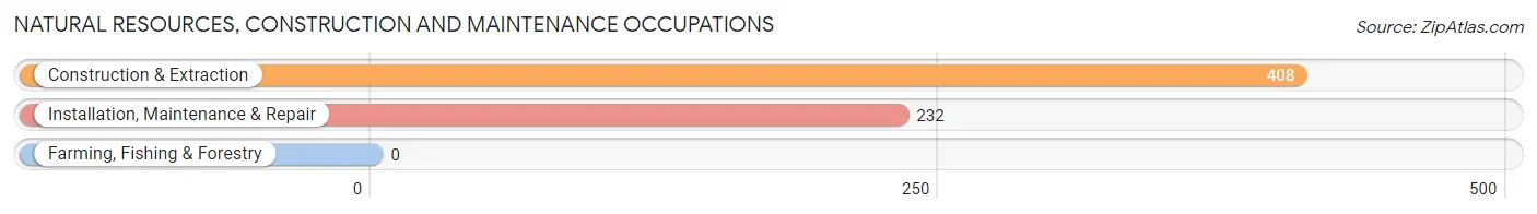 Natural Resources, Construction and Maintenance Occupations in Zip Code 60005