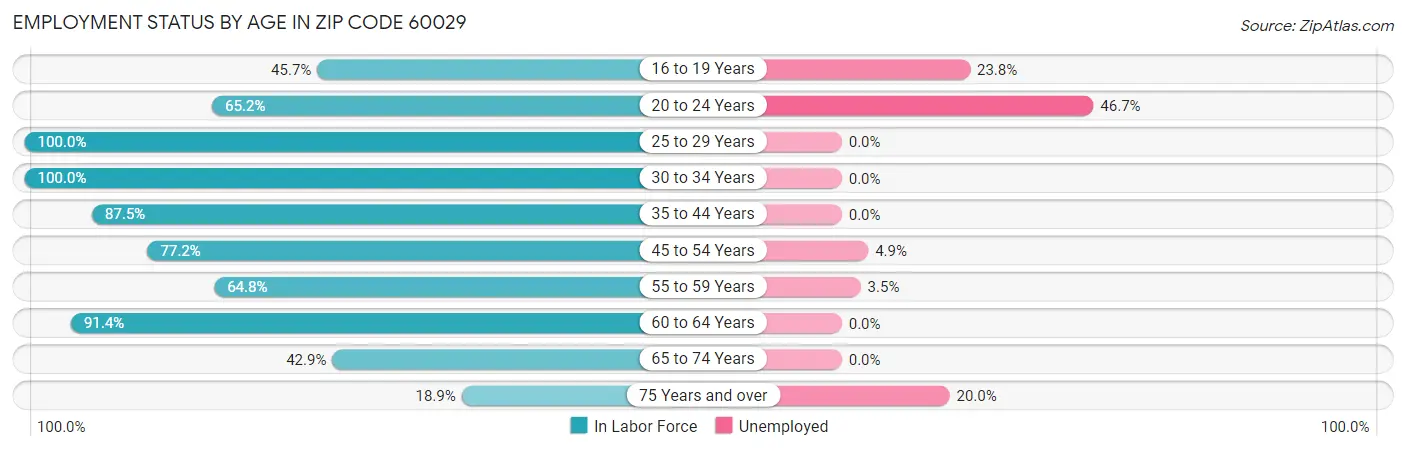 Employment Status by Age in Zip Code 60029