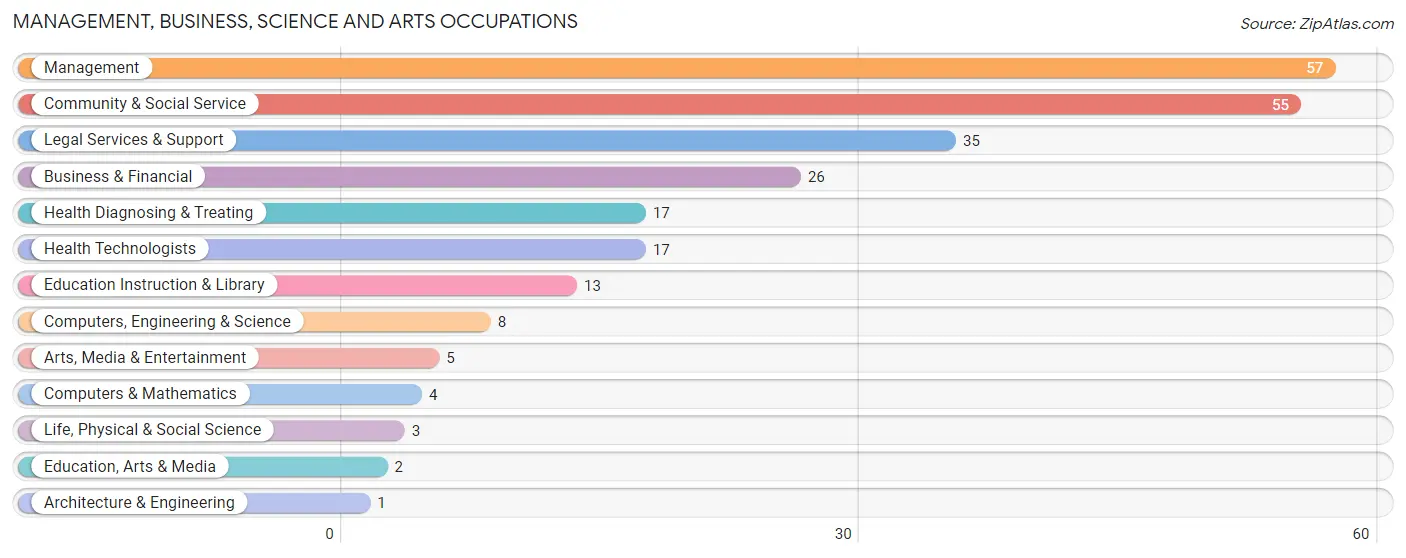 Management, Business, Science and Arts Occupations in Zip Code 60029