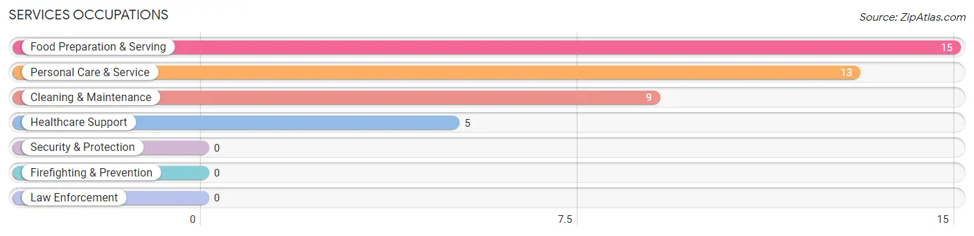 Services Occupations in Zip Code 60029