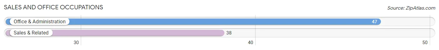 Sales and Office Occupations in Zip Code 60109