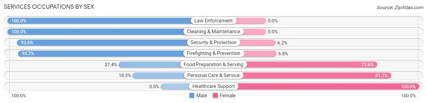 Services Occupations by Sex in Zip Code 60119
