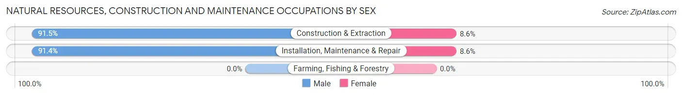 Natural Resources, Construction and Maintenance Occupations by Sex in Zip Code 60134