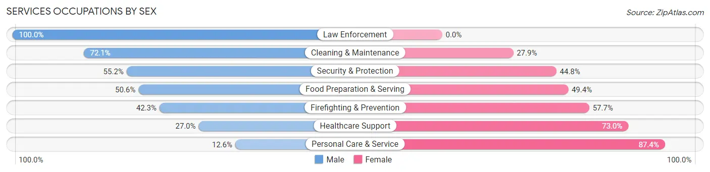 Services Occupations by Sex in Zip Code 60137