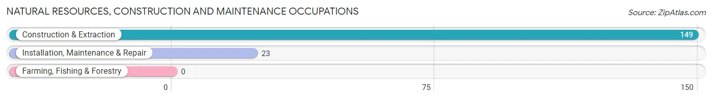 Natural Resources, Construction and Maintenance Occupations in Zip Code 60157