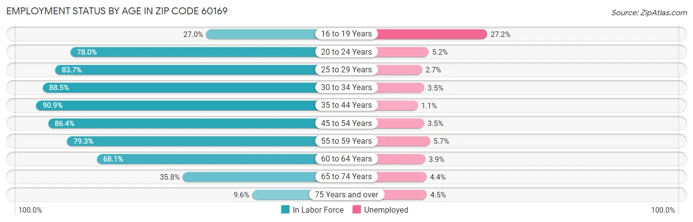 Employment Status by Age in Zip Code 60169