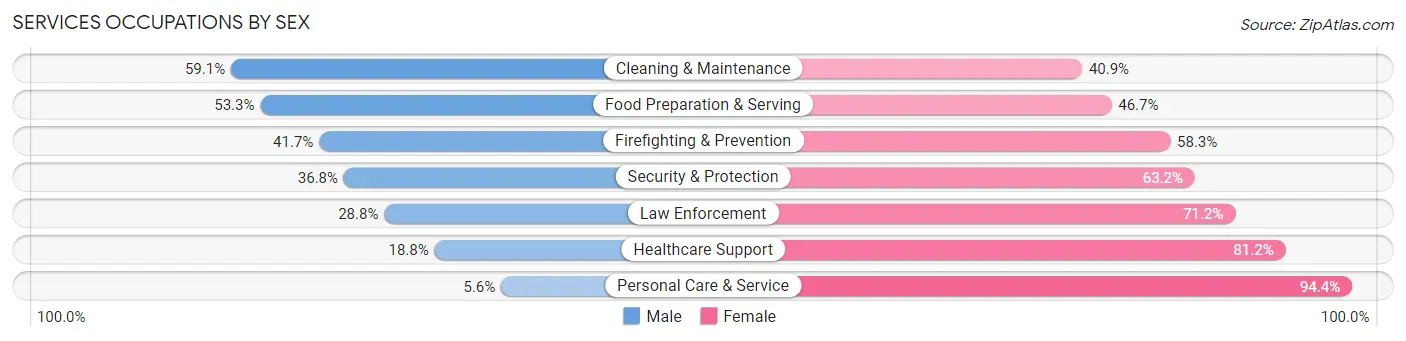 Services Occupations by Sex in Zip Code 60169