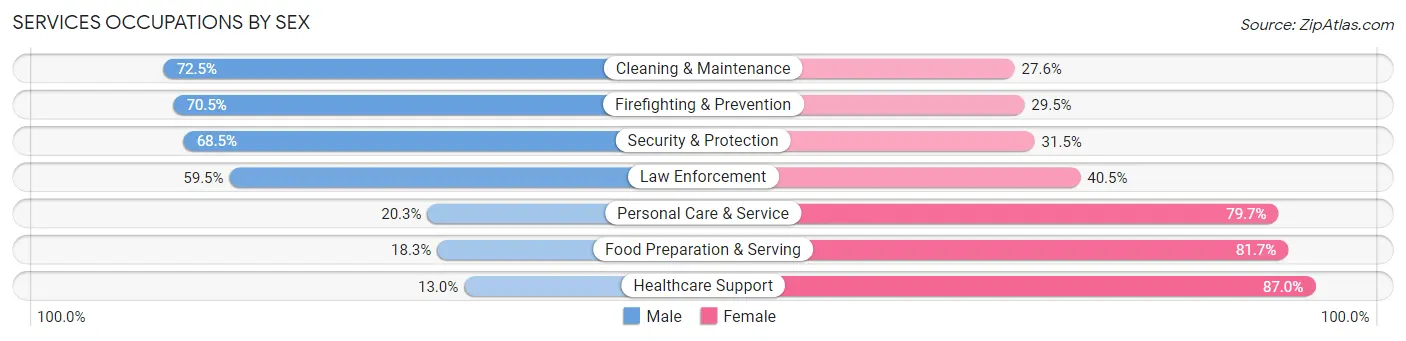 Services Occupations by Sex in Zip Code 60174
