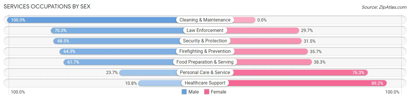 Services Occupations by Sex in Zip Code 60190