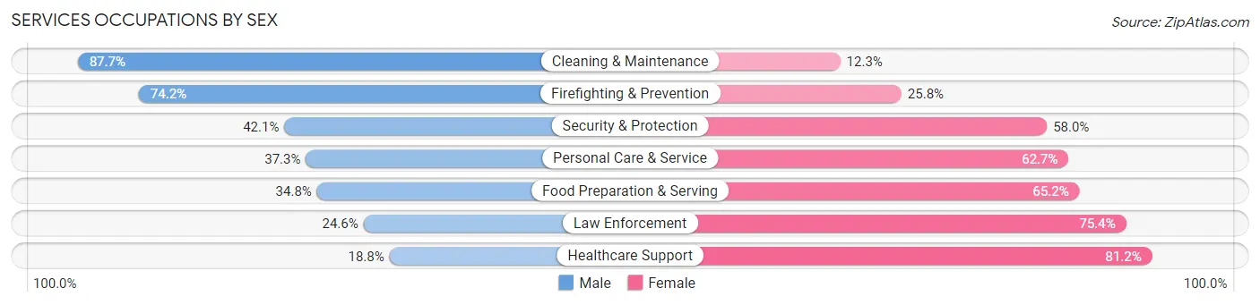 Services Occupations by Sex in Zip Code 60304
