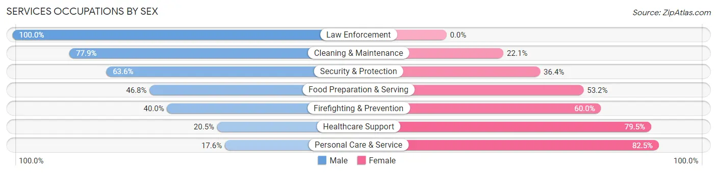 Services Occupations by Sex in Zip Code 60432