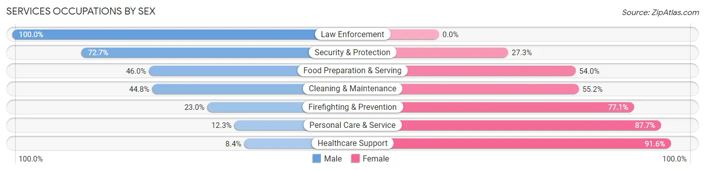 Services Occupations by Sex in Zip Code 60436